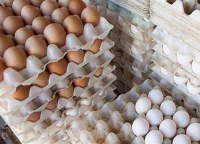 بی اعتنایی خرده فرشی ها به قیمت مصوب تخم مرغ