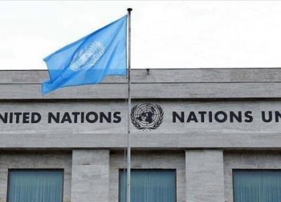 درخواست سازمان ملل از نیجریه برای شناسایی حامیان بوکوحرام