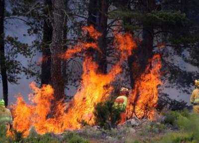موج شدید گرما و سوختن جنگل های اسپانیا در آتش